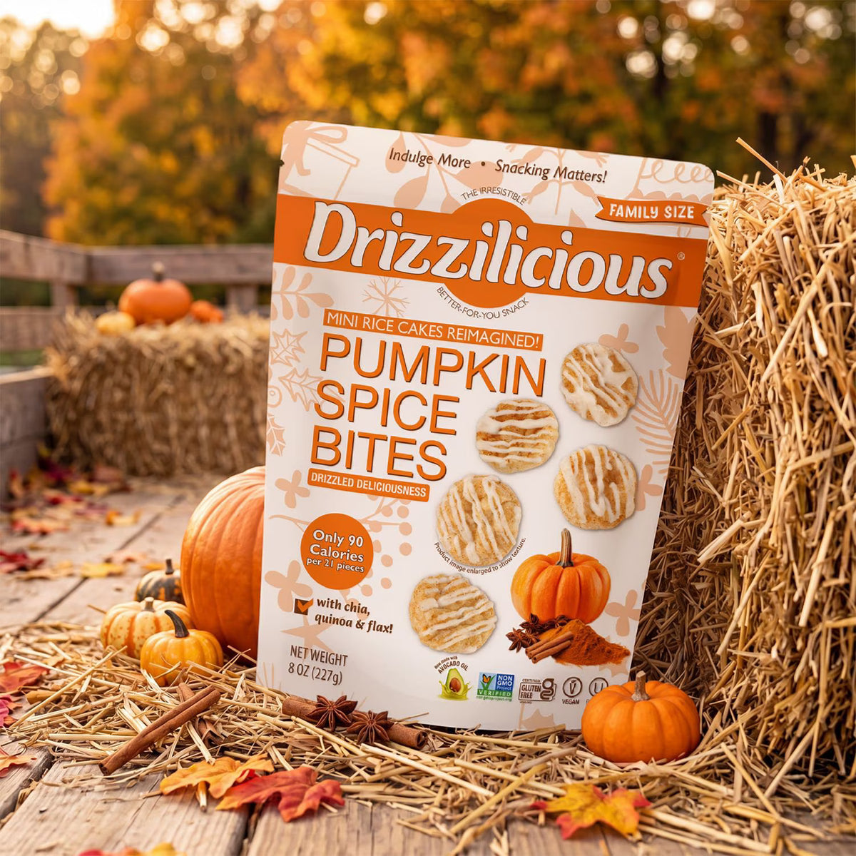 Drizzilicious Pumpkin Spice Mini Rice Cakes, 8 oz.
