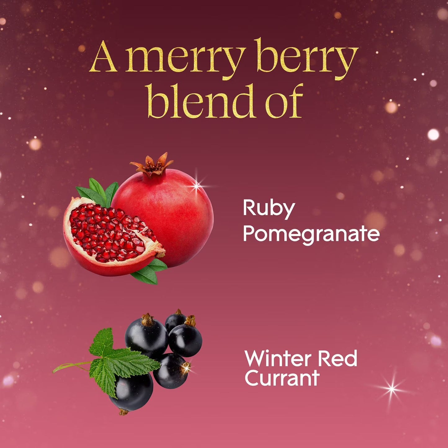 Glade Scented Plug-Ins, Pomegranate and Currents, 2 Warmers + 6 Refills